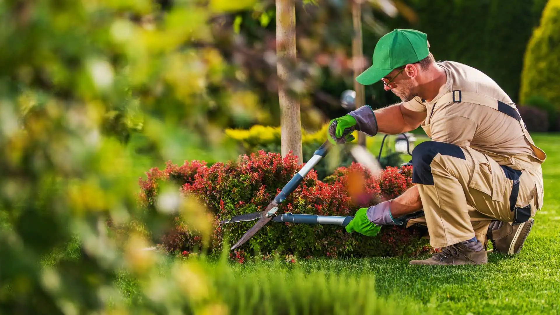 Is Landscaping Tax Deductible? Beem
