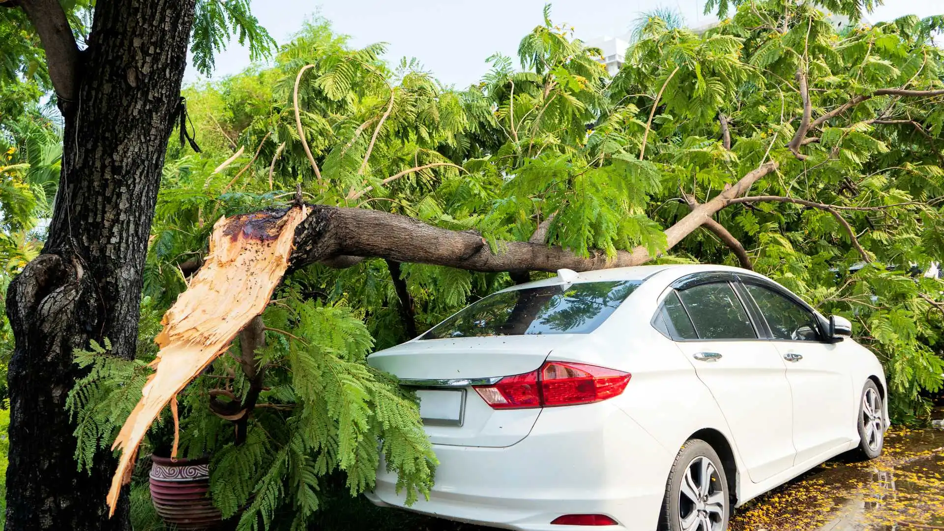 Does Car Insurance Cover Natural Disasters | Beem