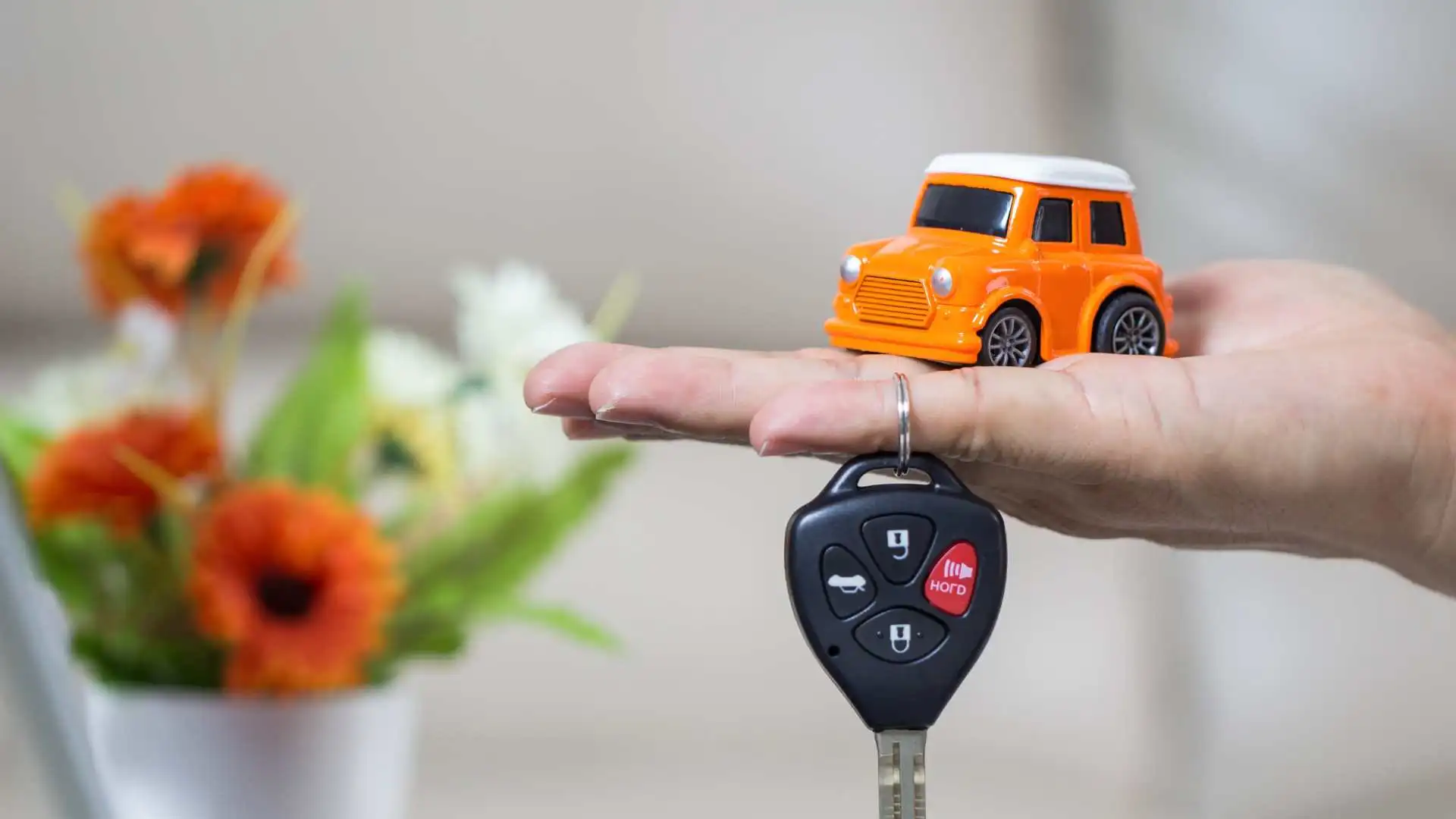 Car Insurance in Elgin 2024 Beem