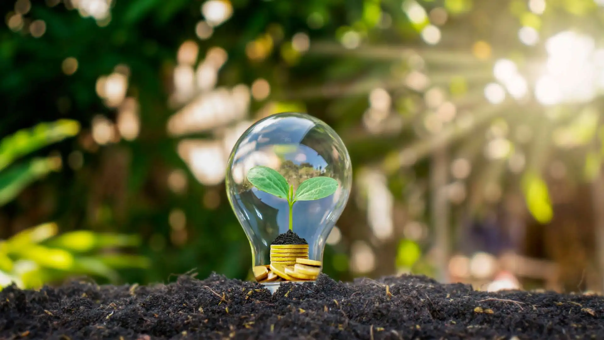 How Much Money Should I Have Saved by 21? | Beem