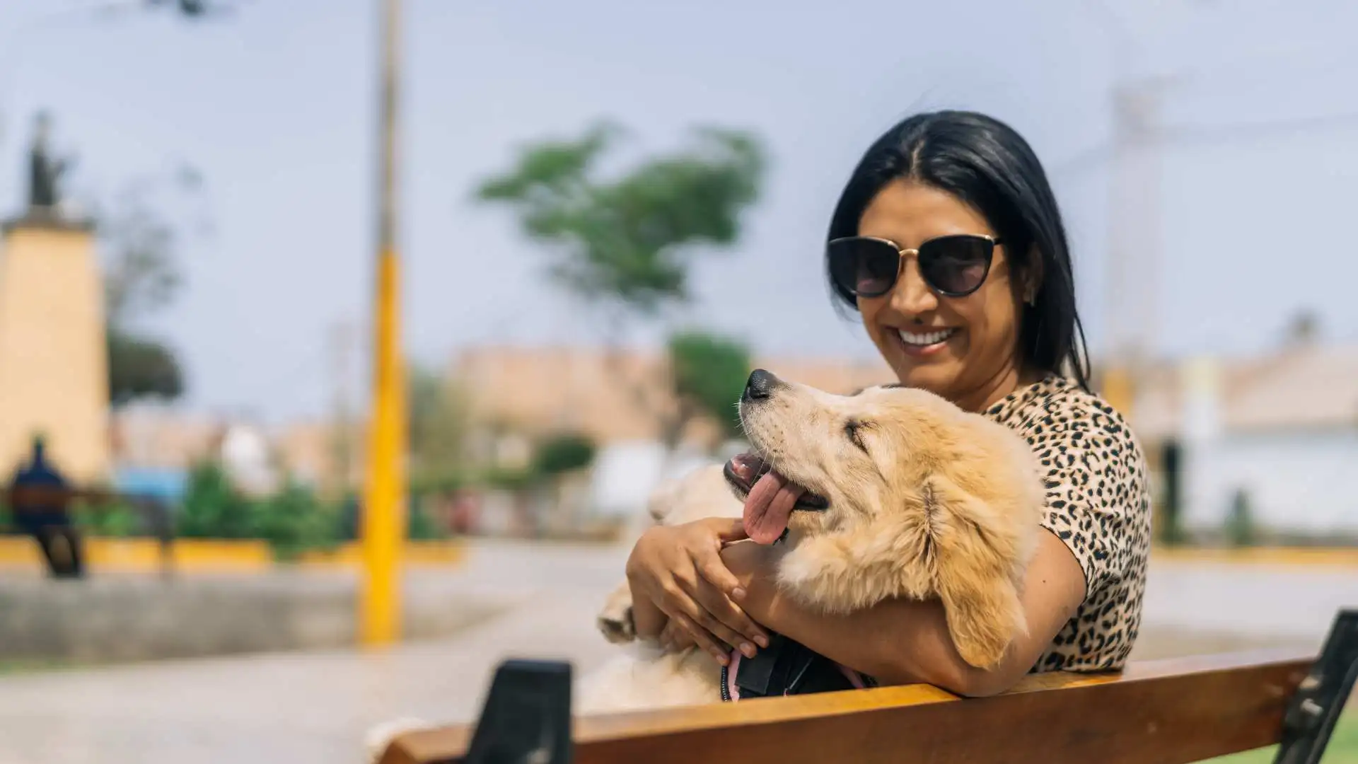 How Much Do You Get Paid To Foster A Dog 7 Top Facts Beem how-much-do-you-get-paid-to-foster-a-dog-7-top-facts-beem