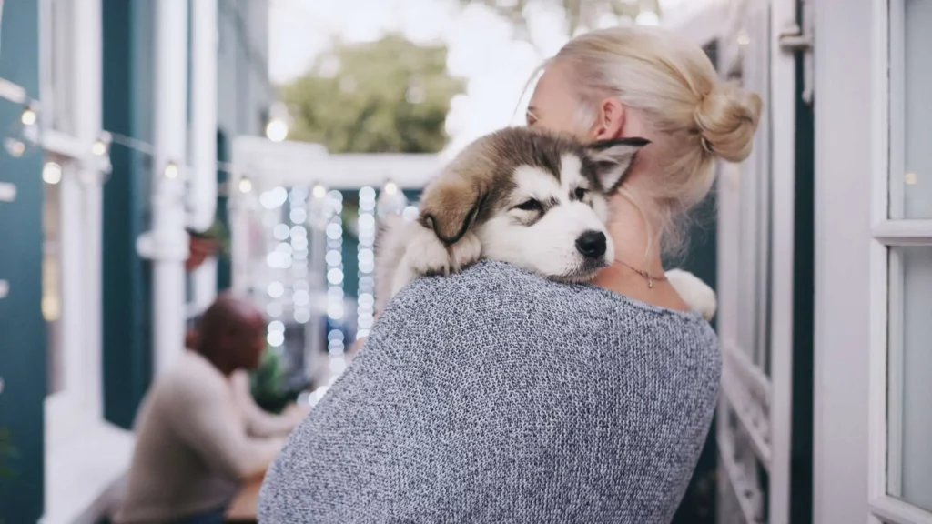 Do You Get Paid to Foster Dogs