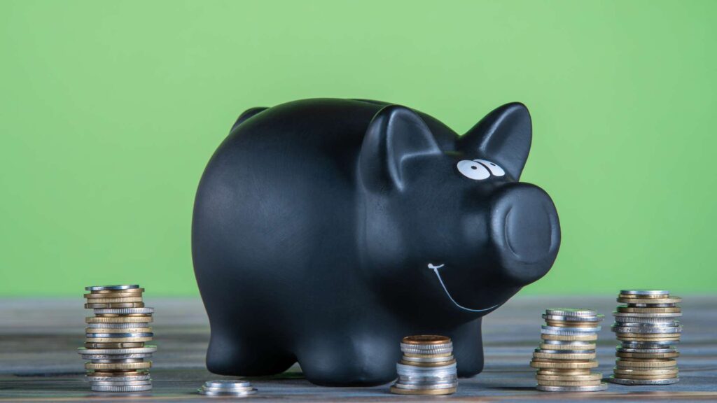 Set-It-and-Forget-It: When Auto-Enrollment Fails You in 401(k) Plans