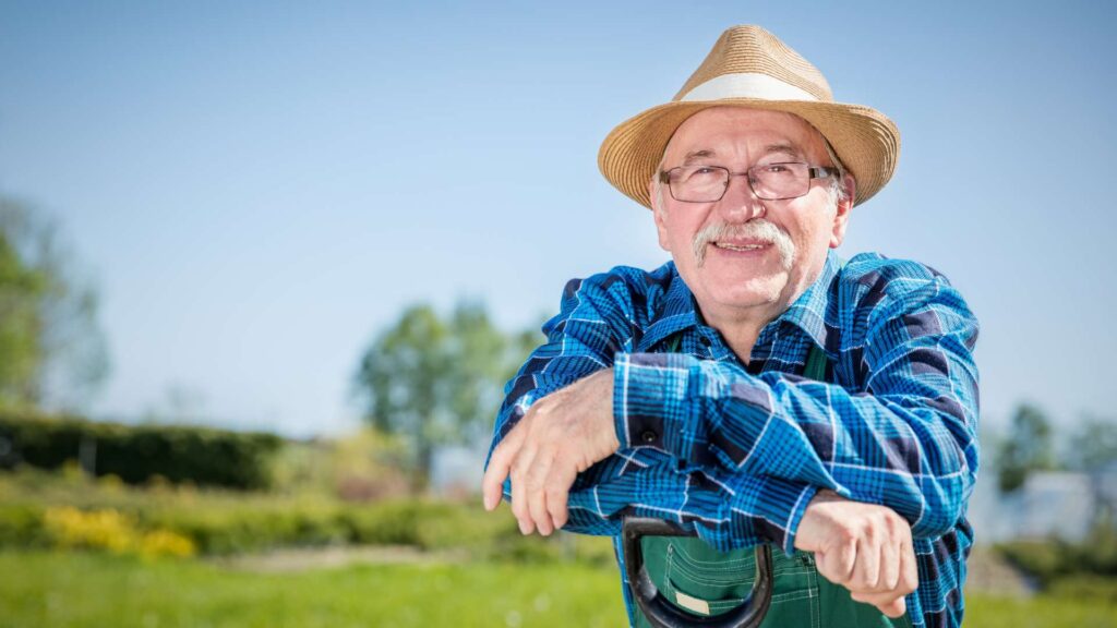 401(k) Vs Pension Plans