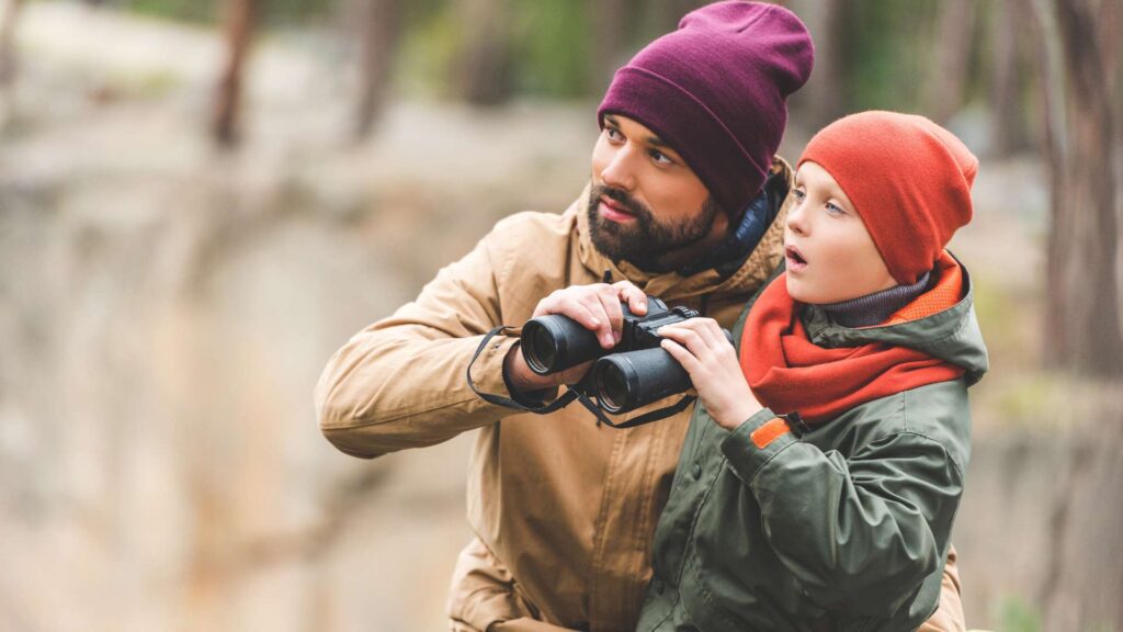 Top HYSAs for Frequent Travelers 