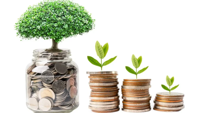 Grow Wealth With HYSAs