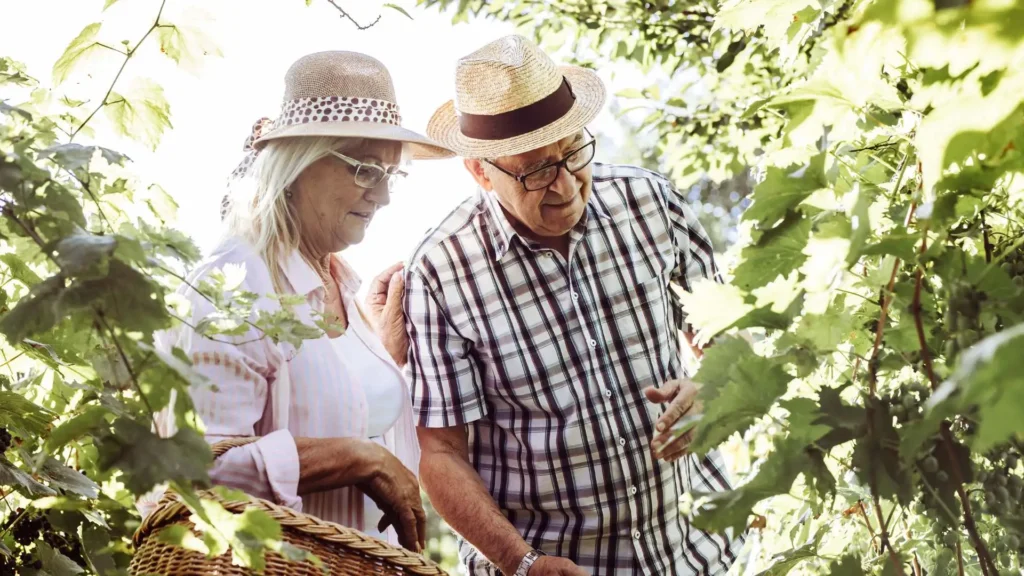 Retirement​‍​‌‍​‍‌​‍​‌‍​‍‌ Secrets