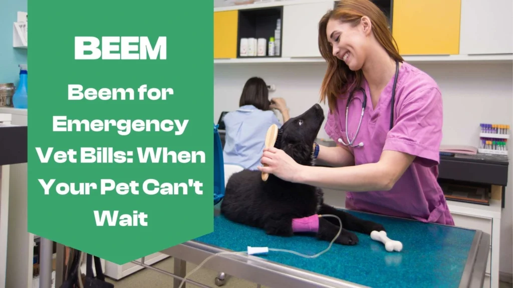 Emergency Vet Bills