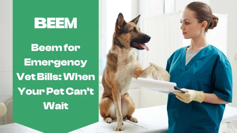 Emergency Vet Bills