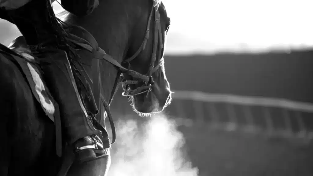 Day at the Races