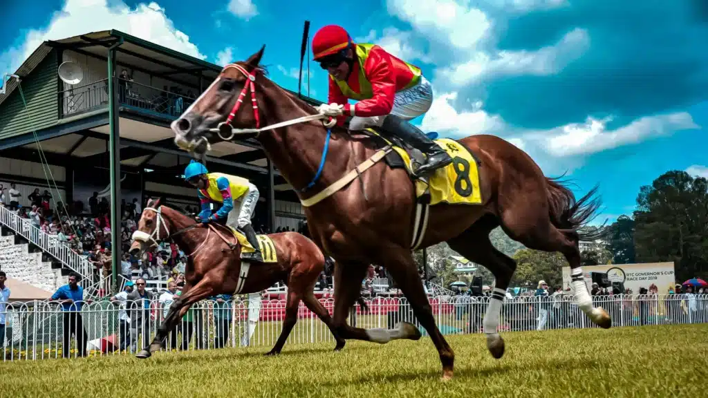 How to Plan Day at the Races